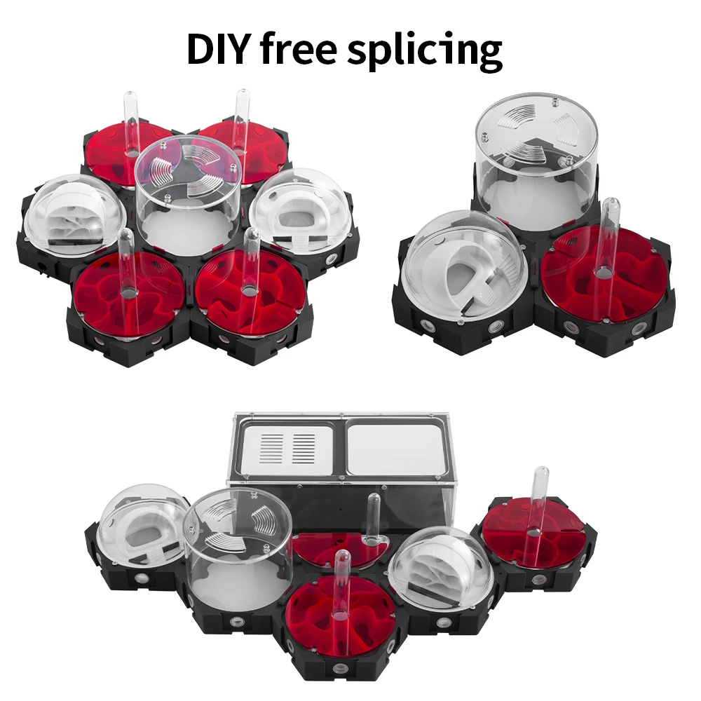 3D Printing Ant Nest Infinitel - огляд і ціна Begonia Rex