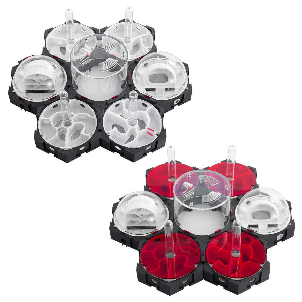 3D Printing Ant Nest Infinitel - огляд і ціна Begonia Rex