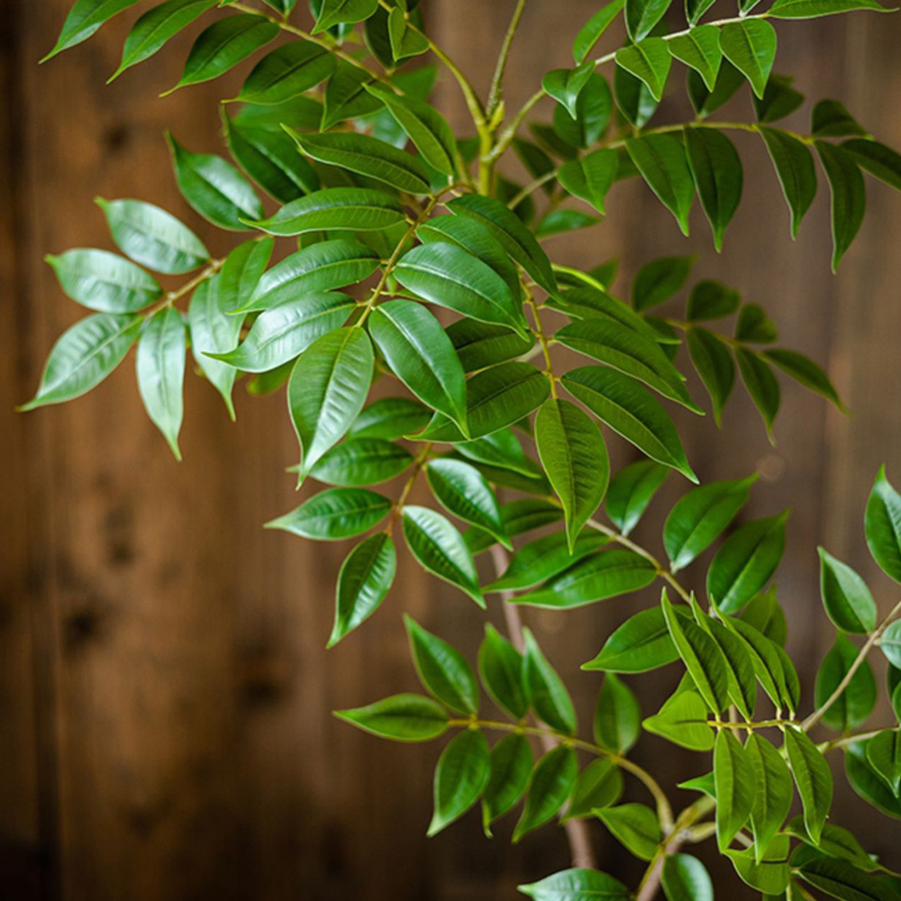 76-140cm Large Artificial Ficu - огляд і ціна Ficus Lyrata Tree