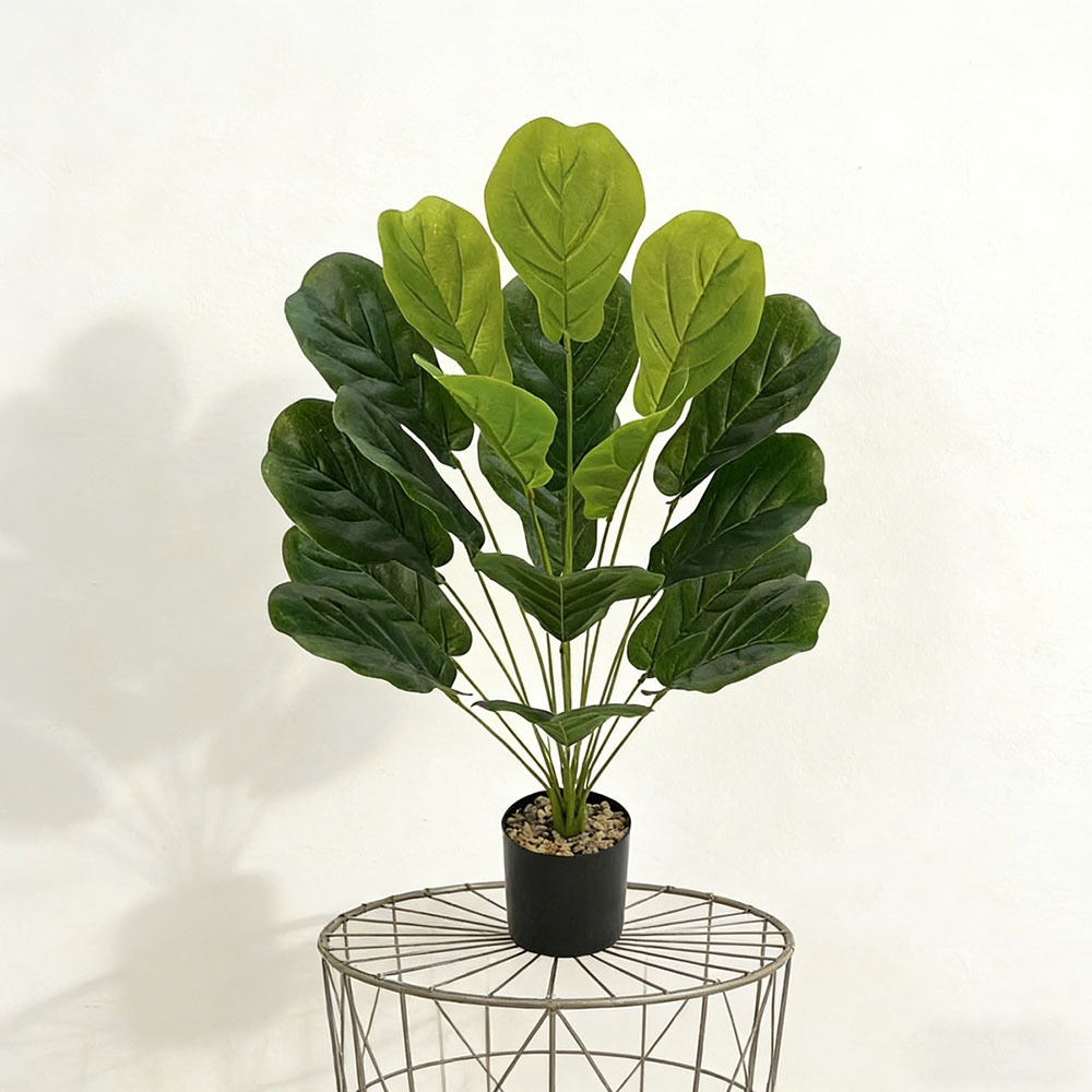 1pc of 75cm Artificial Ficus L - огляд і ціна Ficus Lyrata Tree
