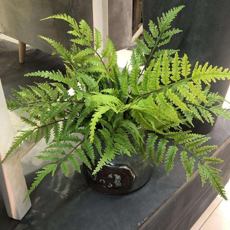 1pcs Artificial Plants Bedroom - огляд і ціна Dracaena Marginata