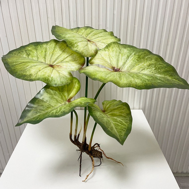 Lifelike Large Lotus Leaves wi - огляд і ціна Dracaena Marginata