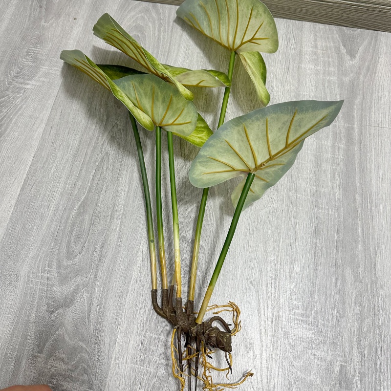 Lifelike Large Lotus Leaves wi - огляд і ціна Dracaena Marginata