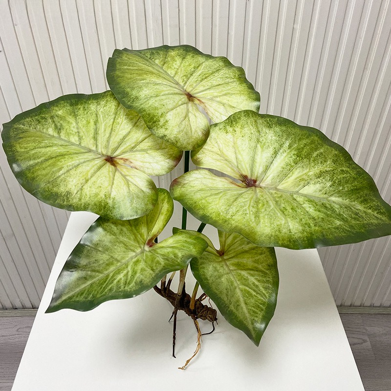Lifelike Large Lotus Leaves wi - огляд і ціна Dracaena Marginata
